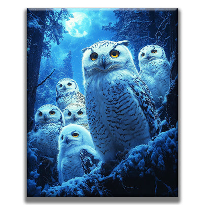 Owl Assembly - Painting by Numbers